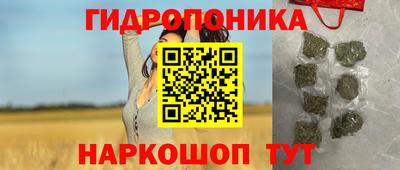 молекула духа Будённовск