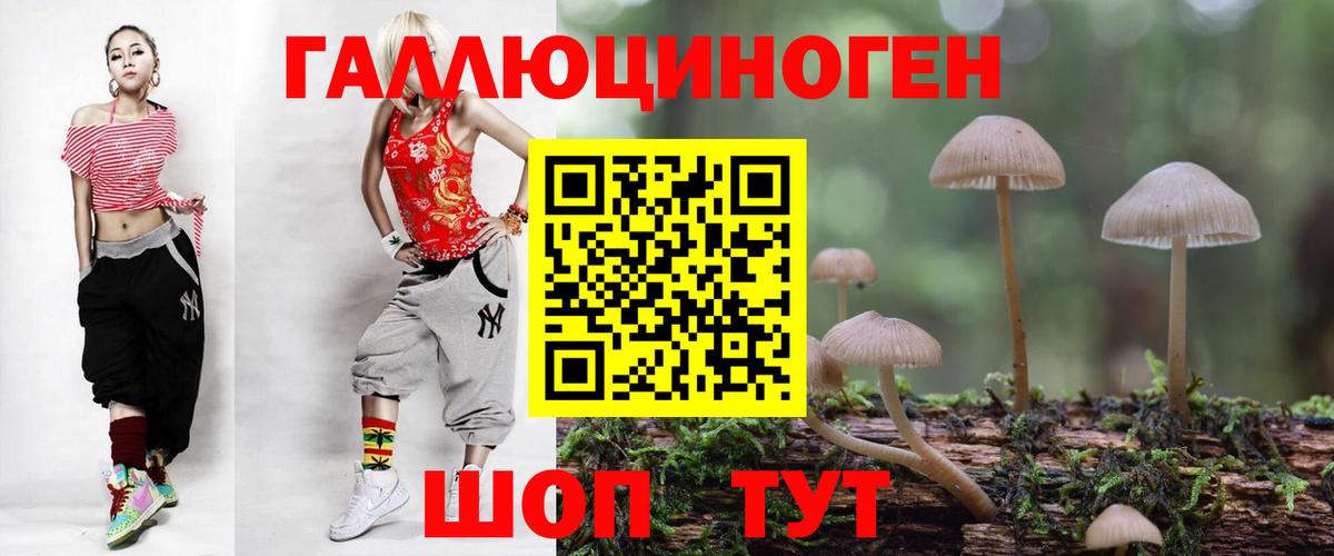 Псилоцибиновые грибы GOLDEN TEACHER  Вход с VPN  Глазов 